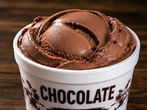 Sorvete Chocolate Belga 300ml